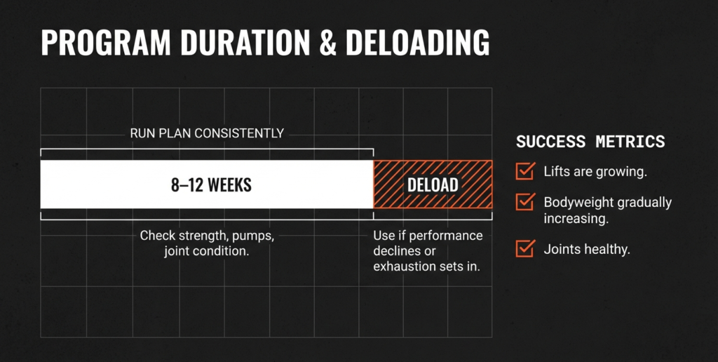 Workout program duration infographic showing an 8 to 12 week training phase followed by a deload week and success metrics