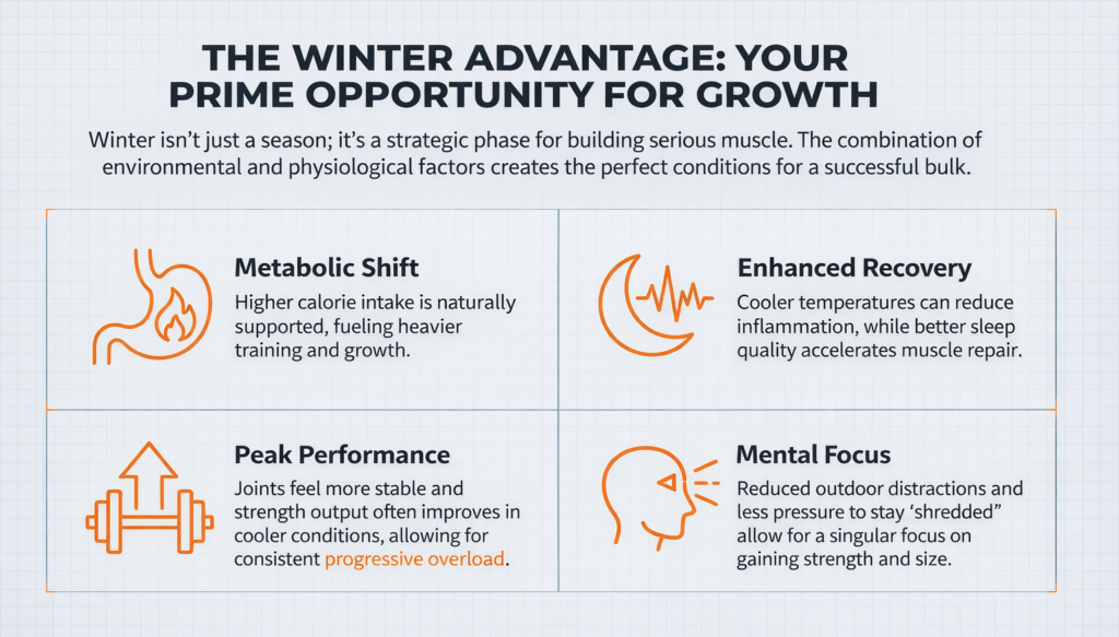 Winter bulking advantages including better recovery, strength gains, and muscle growth