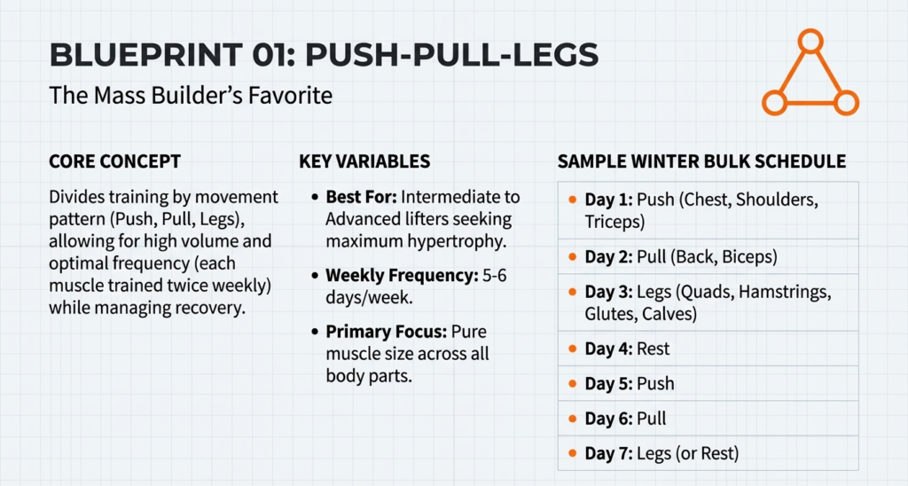 Push pull legs workout split for maximum muscle growth and winter bulking