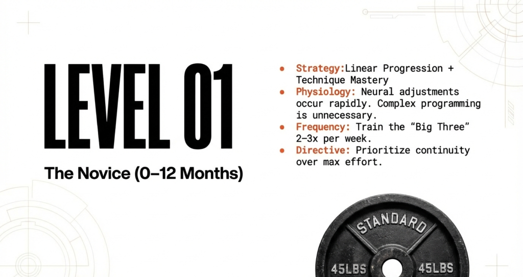 Novice powerlifting phase outlining linear progression, technique mastery, and frequent training of squat, bench press, and deadlift.