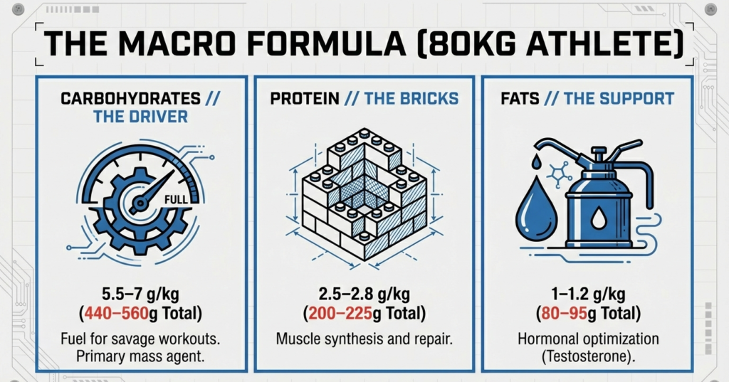 Macro breakdown infographic showing carbohydrate, protein, and fat intake targets for an 80 kg advanced lifter during a mass phase