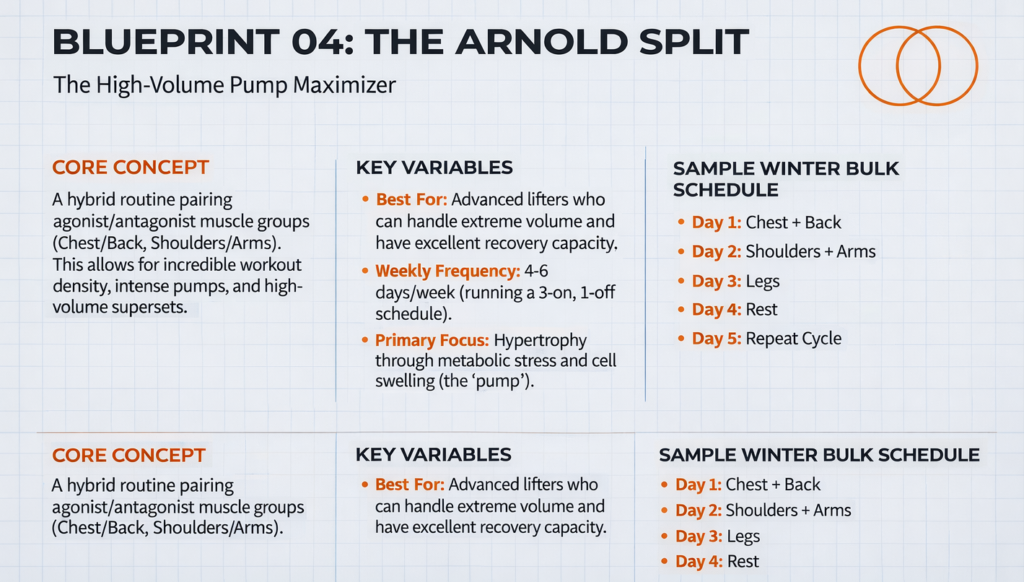 Arnold split workout routine for high-volume muscle growth and winter bulking