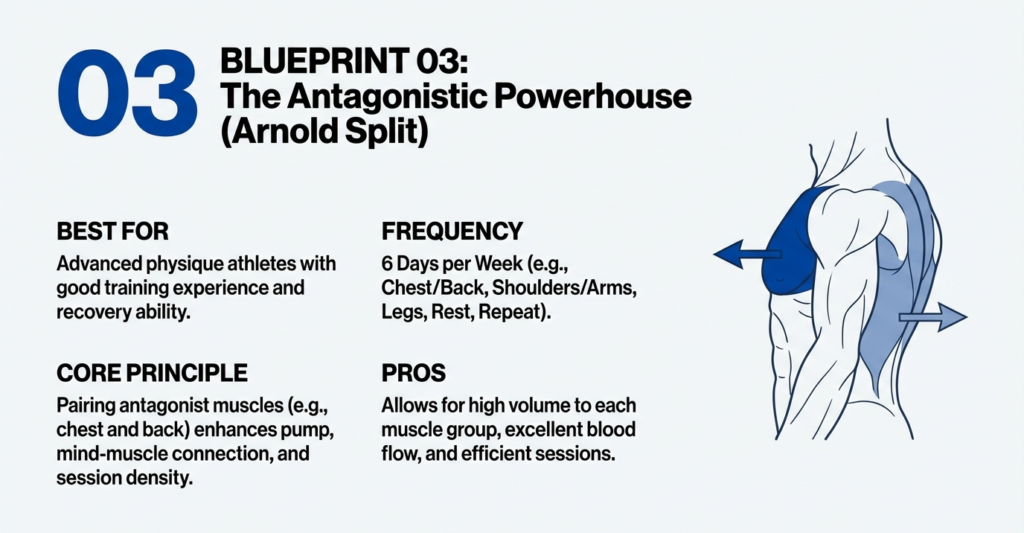 Arnold split training blueprint explaining best use case, frequency, core principle, and benefits of antagonistic muscle pairing