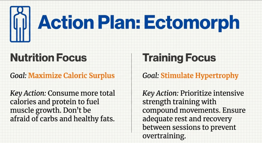 Action plan tips for an actomorph person nutrition, exercise
