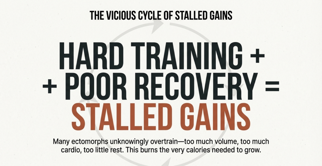 hard training and poor recovery causing stalled muscle gains in ectomorphs
