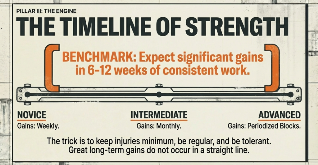 Visual timeline showing strength progression stages for novice, intermediate, and advanced lifters with realistic expectations.