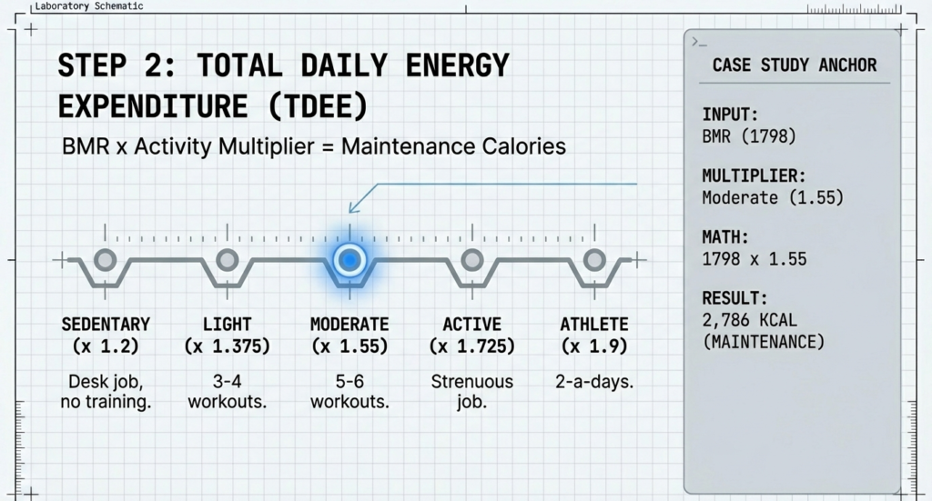Activity multiplier scale from sedentary to athlete level with example calculation of 1,798 x 1.55 resulting in 2,786 maintenance calories.