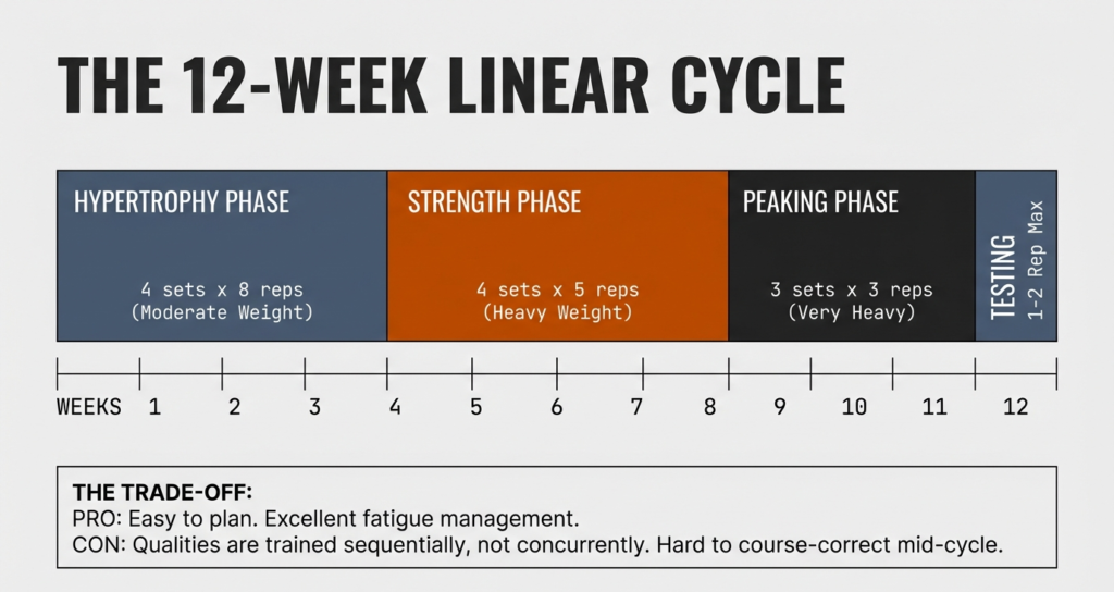 Timeline showing hypertrophy phase, strength phase, peaking phase, and testing week in a linear periodization plan.