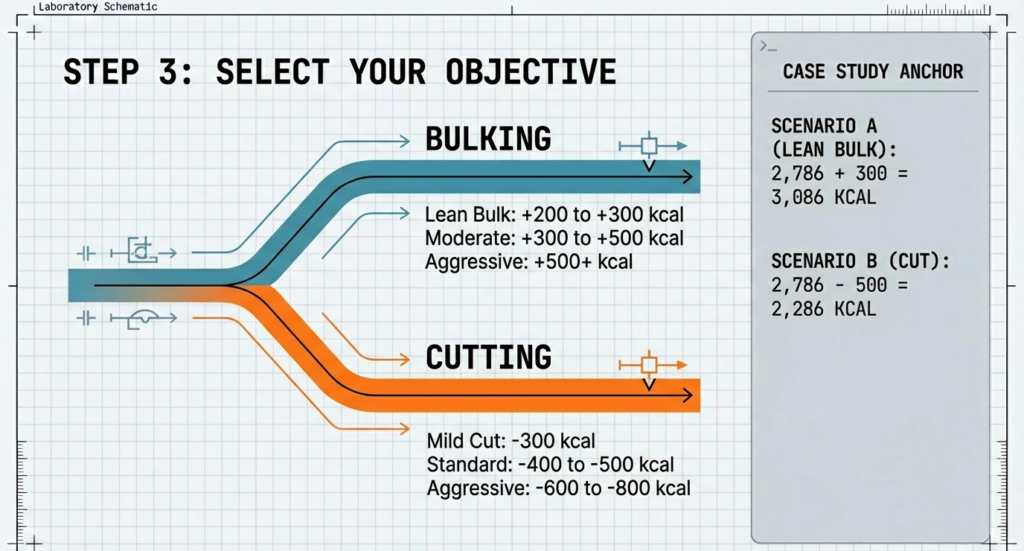 Graphic showing calorie surplus pathways for bulking and calorie deficit pathways for cutting with example targets.
