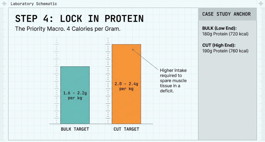 Bar chart comparing protein intake ranges for bulking (1.6–2.2g/kg) and cutting (2.0–2.4g/kg).