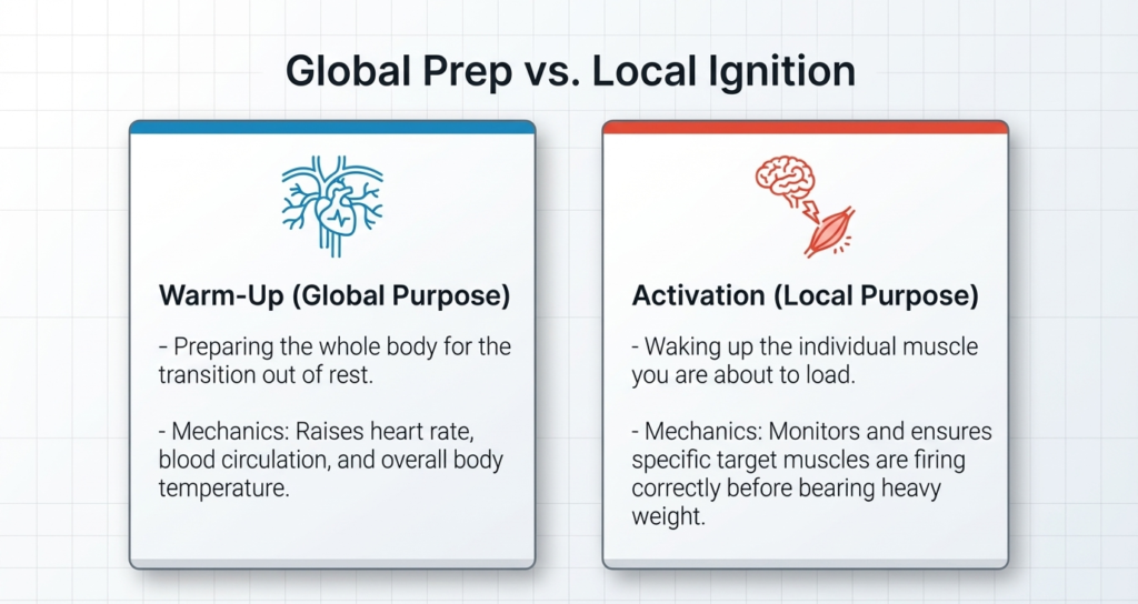 Comparison between whole-body warm-up and targeted muscle activation techniques