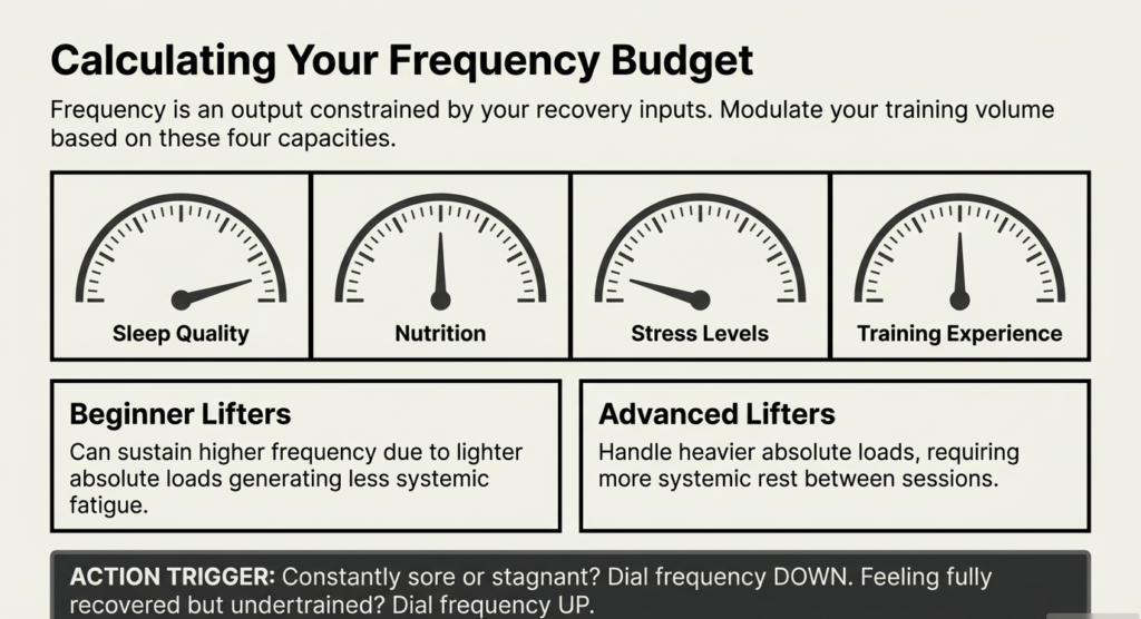 Sleep nutrition stress and training experience affecting powerlifting frequency