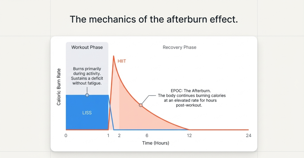 Graph showing calorie burn and EPOC after HIIT vs steady LISS calorie burn