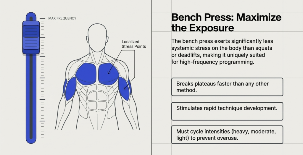 Bench press muscle activation and frequency optimization illustration