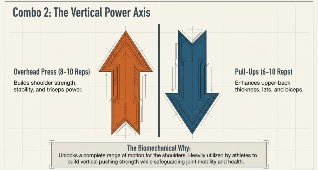 Training illustration showing overhead press paired with pull-ups representing vertical push and pull antagonist muscle training.